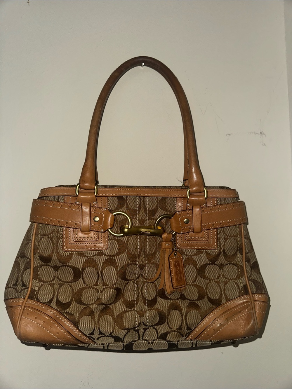 Coach Signature Canvas Tote in Brown & Tan